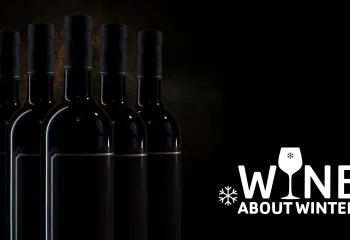 Wine About Winter Fundraiser