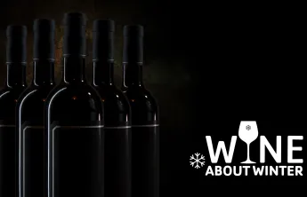 Wine About Winter Fundraiser